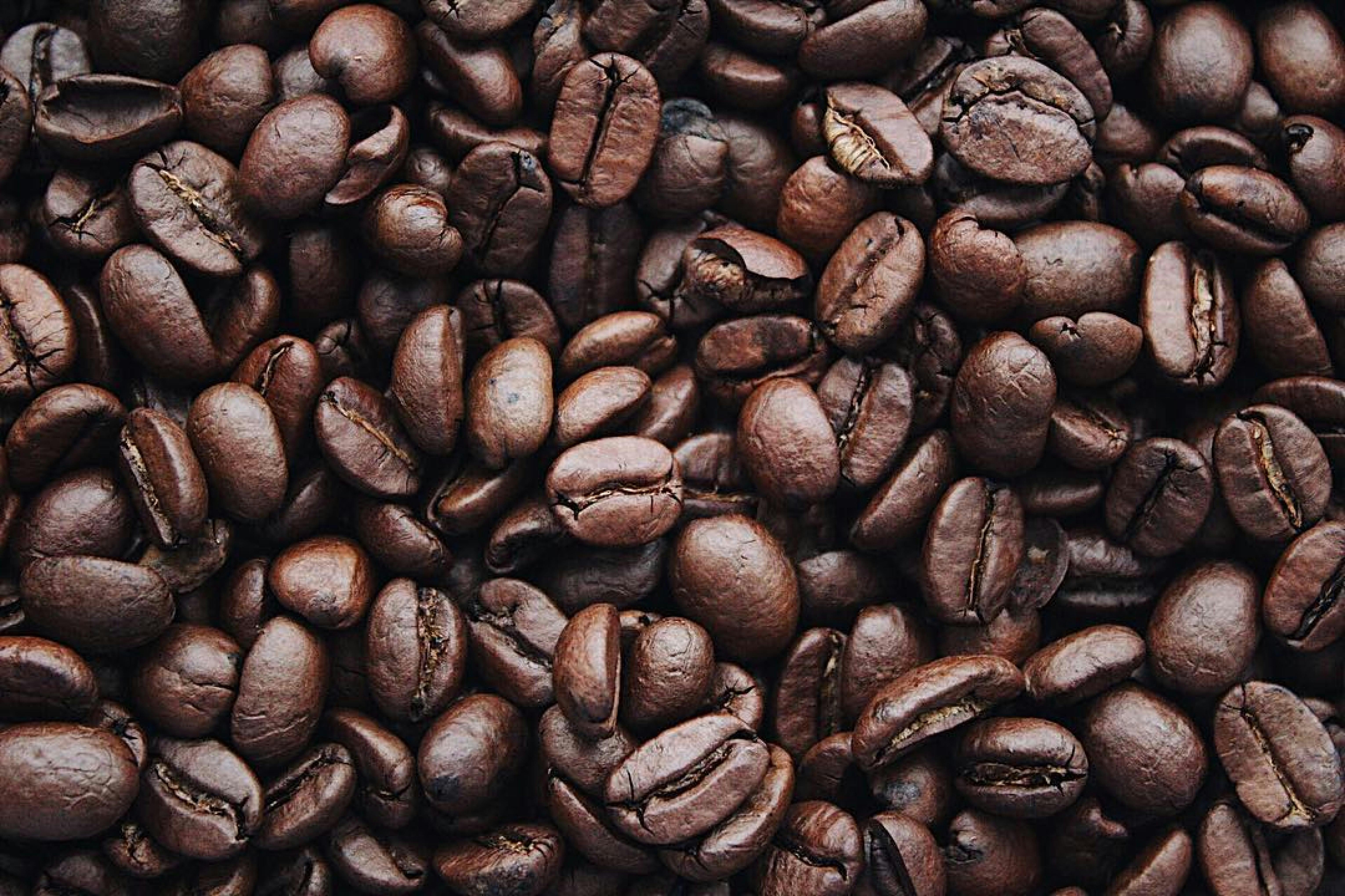 Premium Indian Coffee