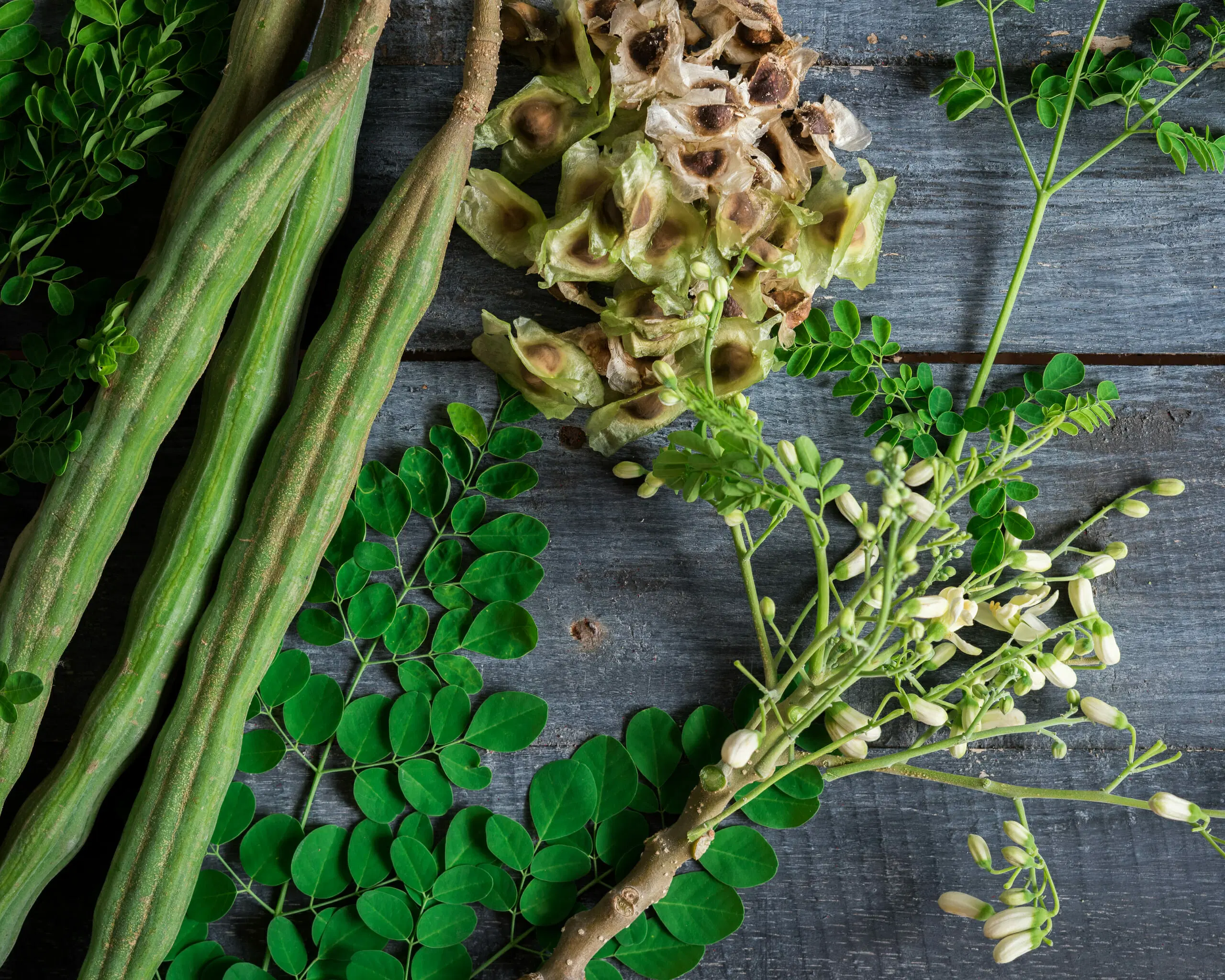 Premium Moringa Superfood
